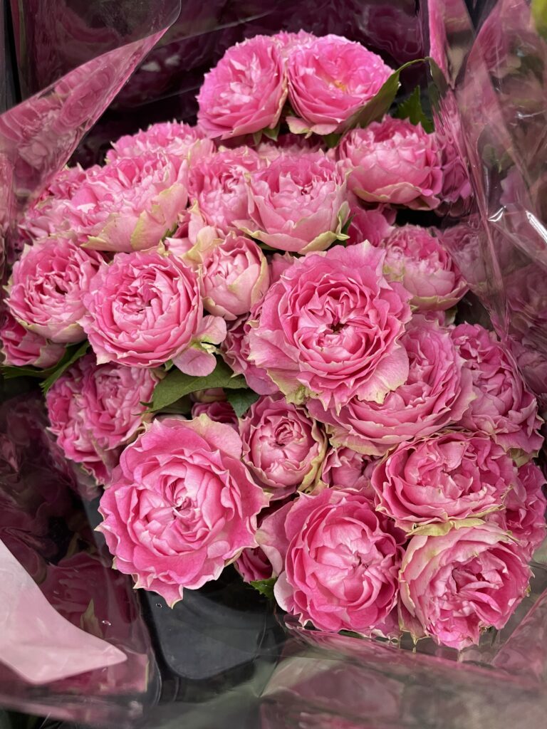 バラ＆スプレーバラ - 株式会社フラワーランゲージ